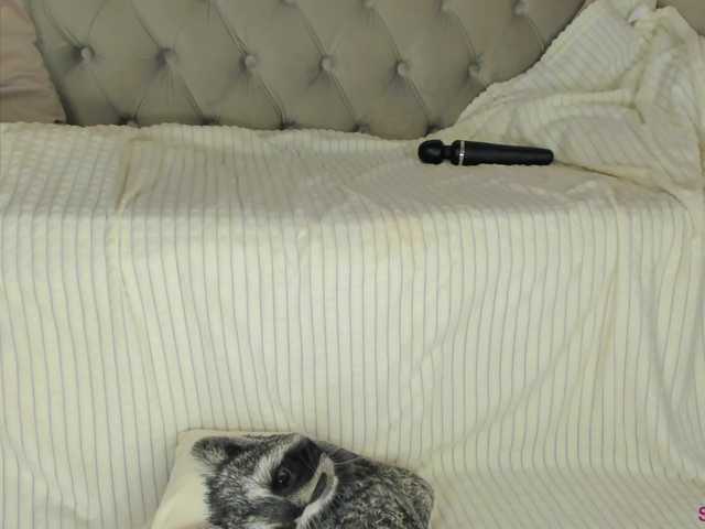 IceStrawberry's BongaCams show and profile