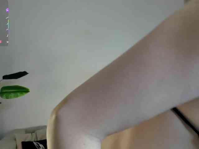 IceStrawberry webcam