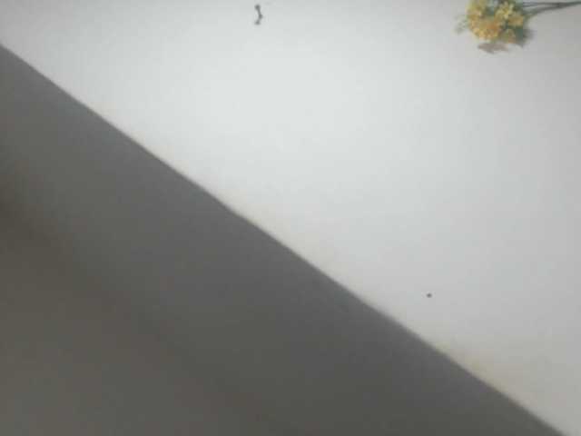 DeboraCienfuegos25's BongaCams show and profile