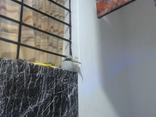 DeboraCienfuegos25's BongaCams show and profile