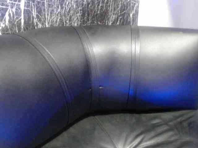 DeboraCienfuegos25 DeboraCienfuegos25