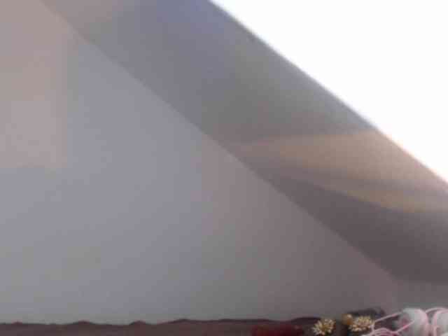 DeboraCienfuegos25 DeboraCienfuegos25