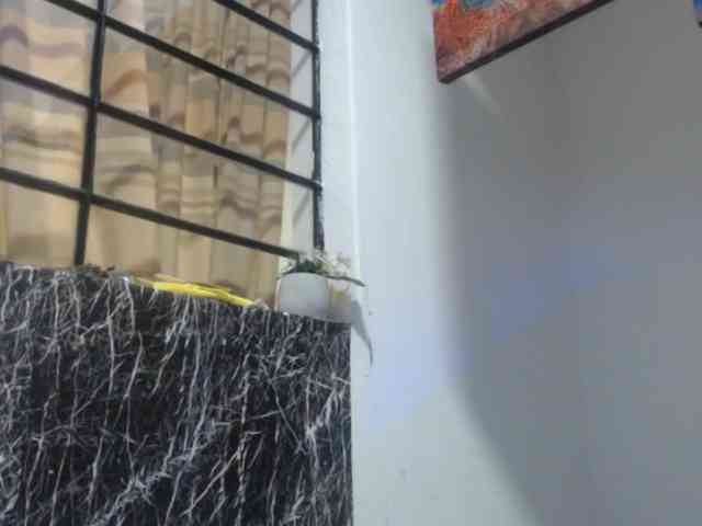 DeboraCienfuegos25 webcam