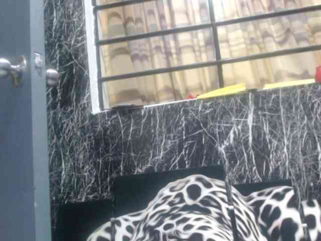 DeboraCienfuegos25 webcam