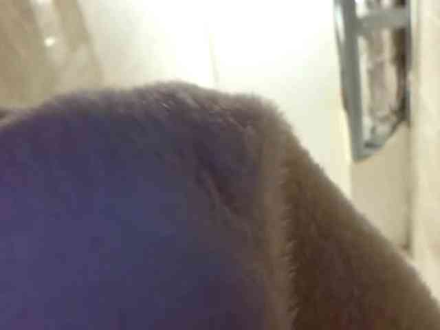 MilagroKailey webcam