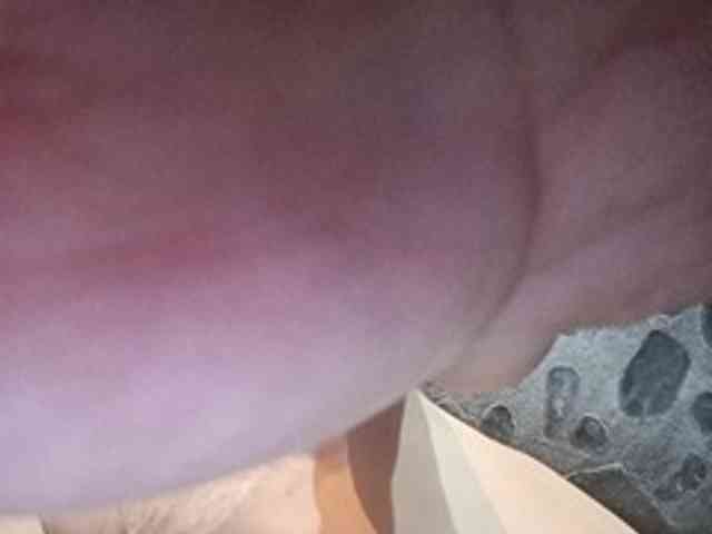 Alexandrroot Alexandrroot