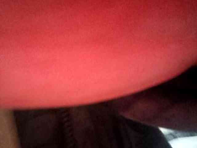 Alexandrroot Alexandrroot