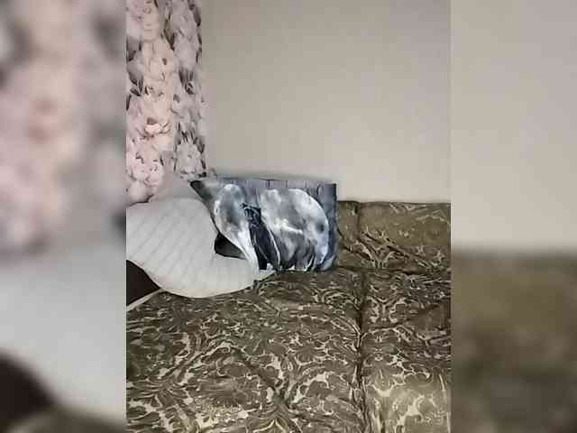 Nadina-1 Live Webcam on BongaCams