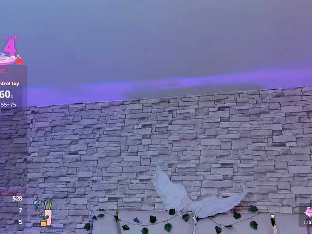 CASSE-TAY's BongaCams show and profile