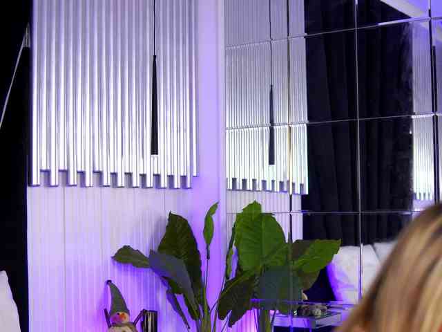 CelesteArden CelesteArden