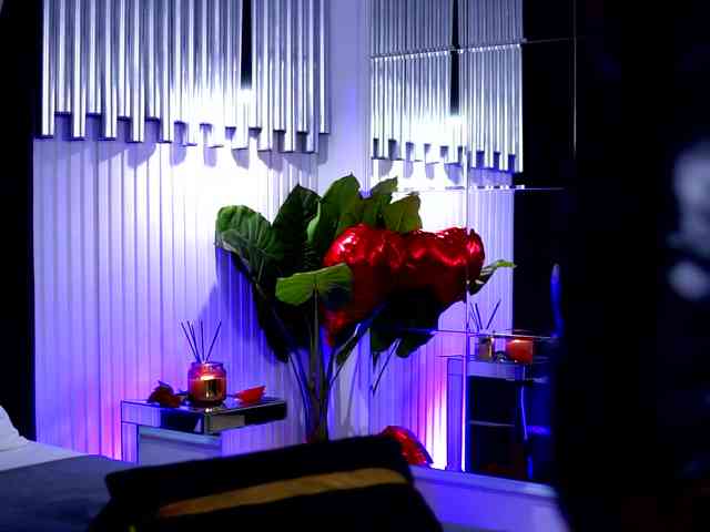 CelesteArden CelesteArden