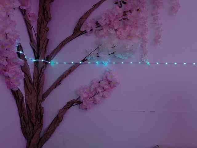 VeronicaLewis webcam