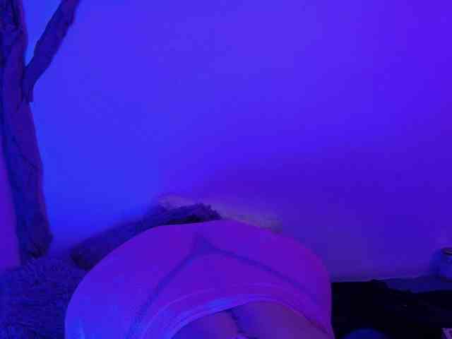 VeronicaLewis webcam