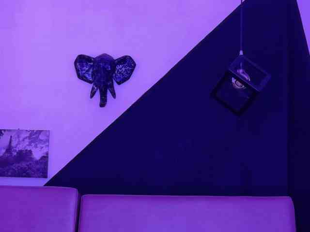 VeronicaLewis webcam