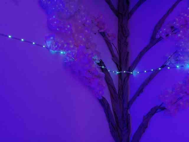 VeronicaLewis webcam