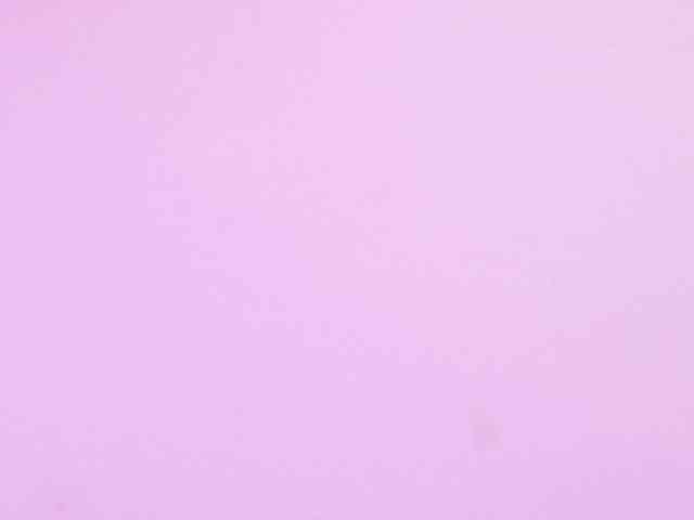 VeronicaLewis webcam