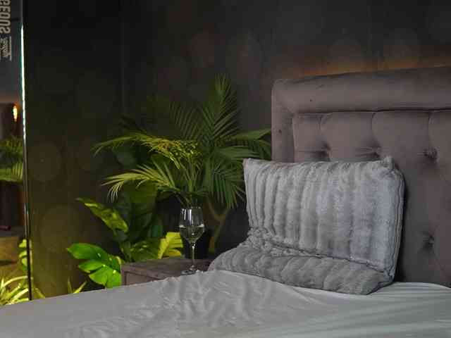 CelineHeaven CelineHeaven