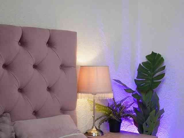 AmeliaJupiter webcam