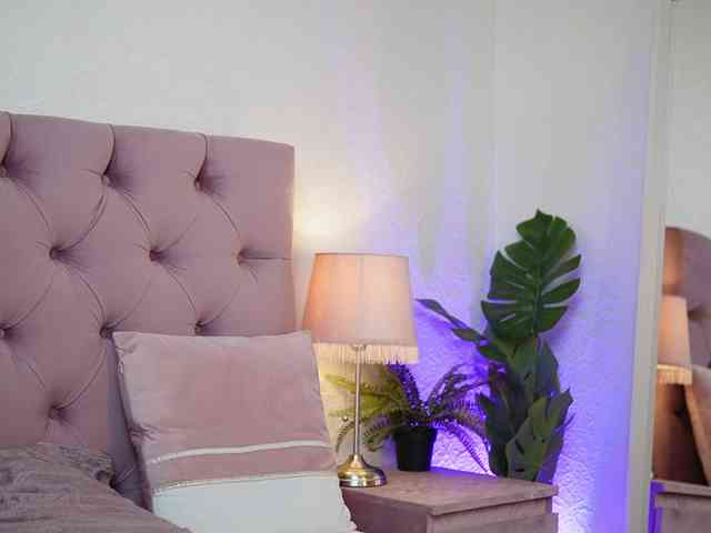 AmeliaJupiter AmeliaJupiter