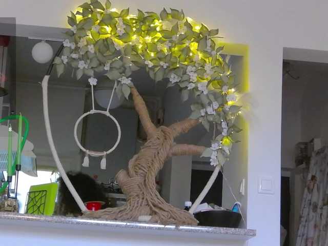 BohoBabeLexy's BongaCams show and profile