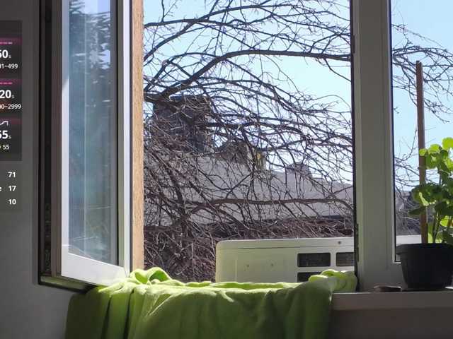 Preview of bohobabelexy