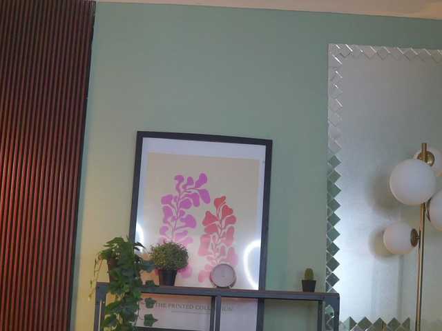 MiraDelynn's BongaCams show and profile