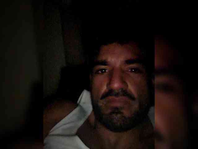 Piggylatin Piggylatin