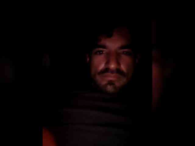 Piggylatin Piggylatin