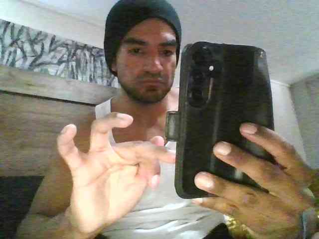 Piggylatin Piggylatin