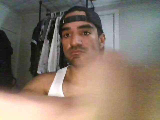 Piggylatin Piggylatin