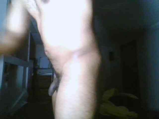 Piggylatin Piggylatin