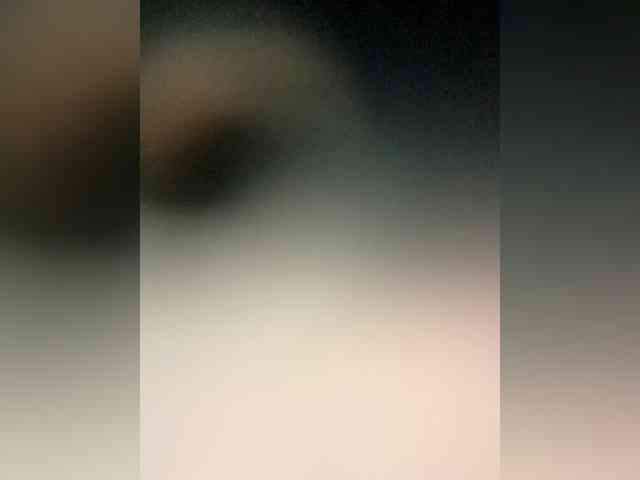 Piggylatin Piggylatin