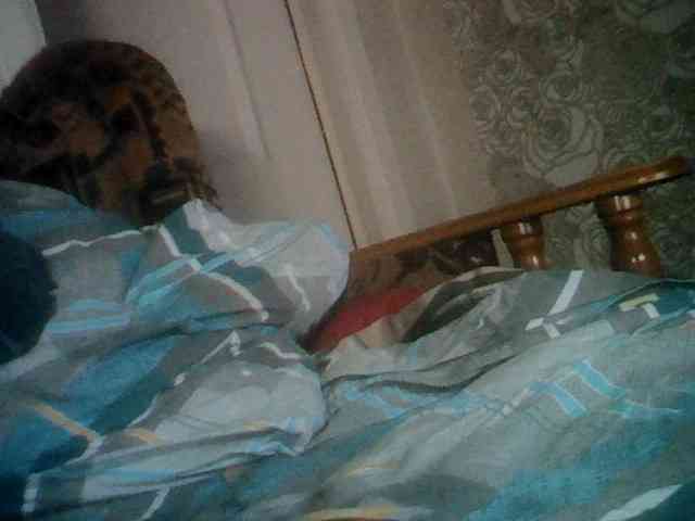 Alexander657 Alexander657