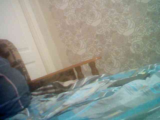 Alexander657 Alexander657