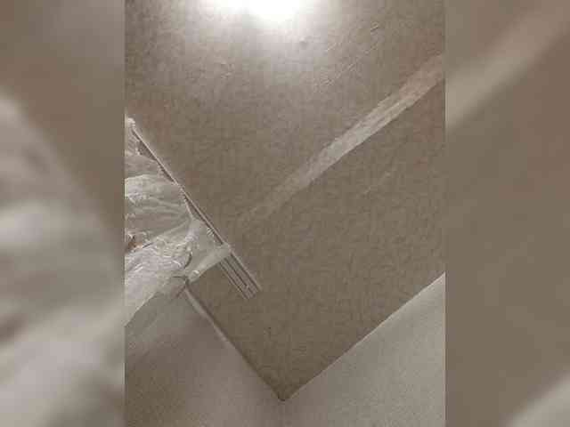 Alexander657 Alexander657