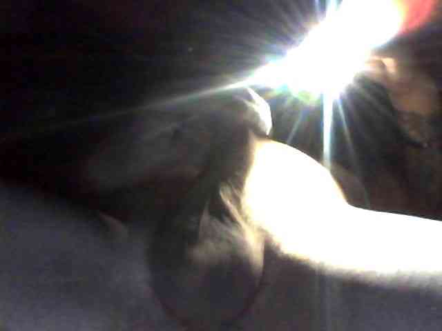 Alexander657 Alexander657