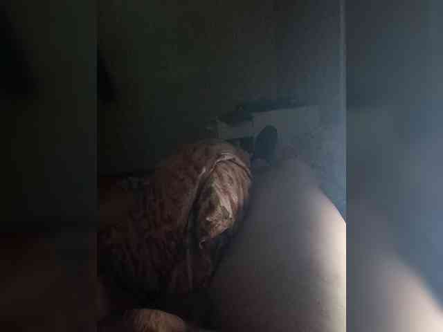 Alexander657 Alexander657