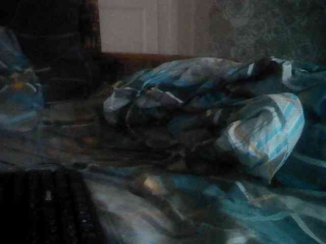 Alexander657 Alexander657