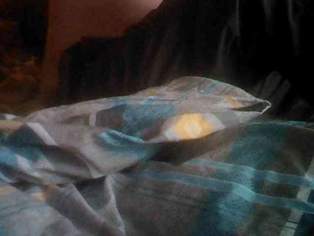 Alexander657 Alexander657