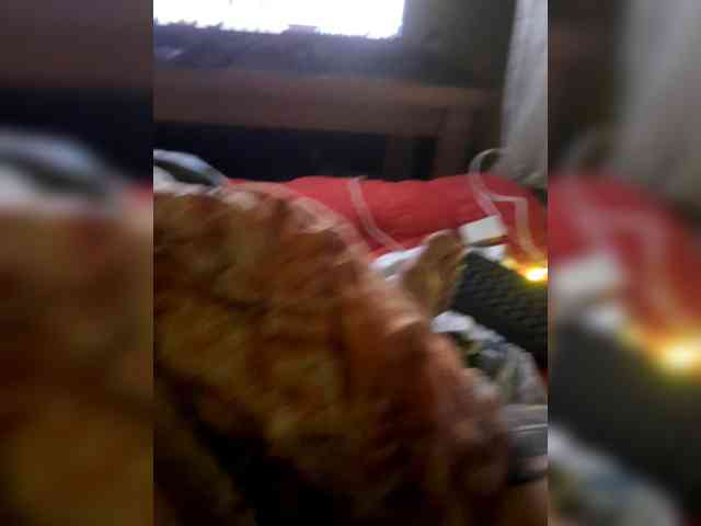 Alexander657 Alexander657