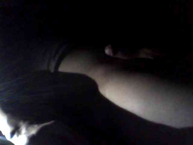 Alexander657 Alexander657