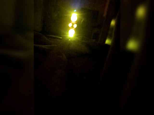 Alexander657 Alexander657