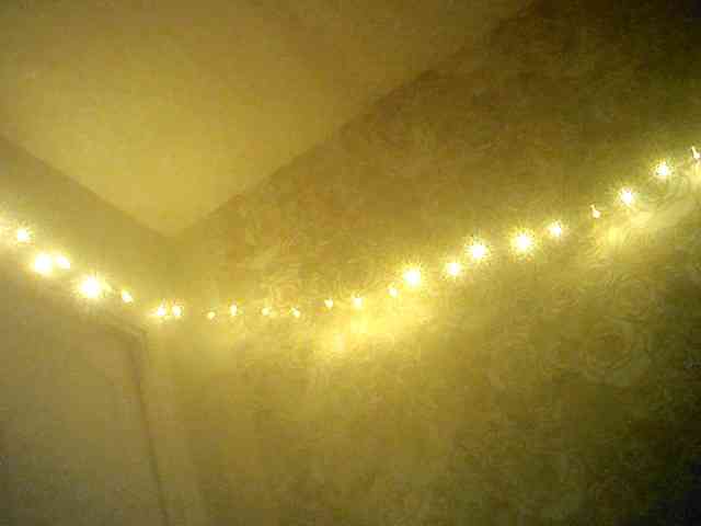 Alexander657 Live Webcam on BongaCams