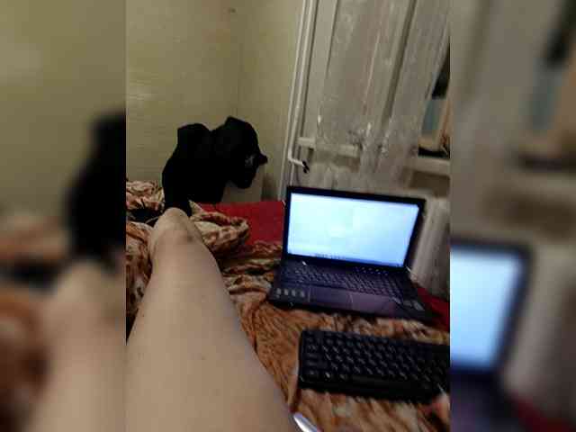 Alexander657 Alexander657