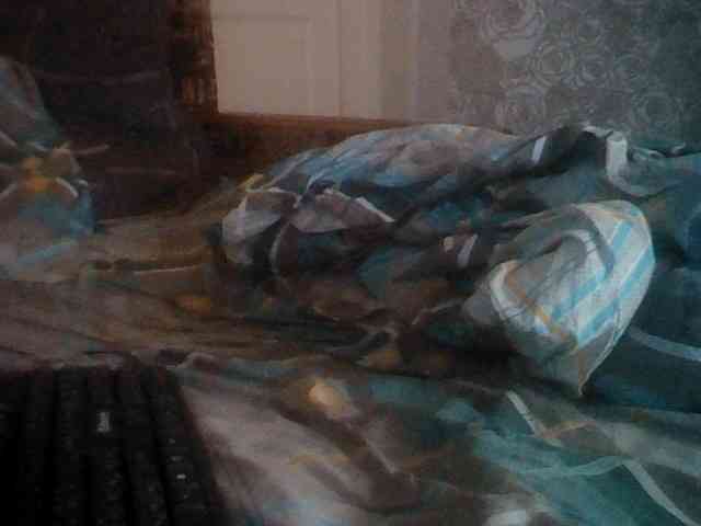 Alexander657 Alexander657