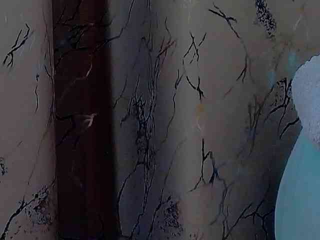 MadelynVelure webcam