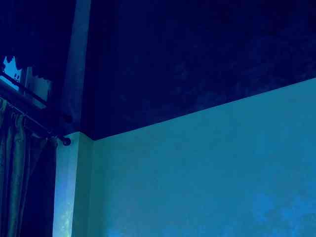 MadelynVelure MadelynVelure