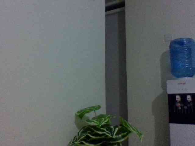 rozybeauty rozybeauty