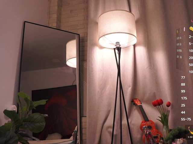 Preview of loveaudirs