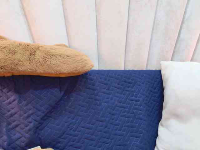 Abbyvaccii Abbyvaccii